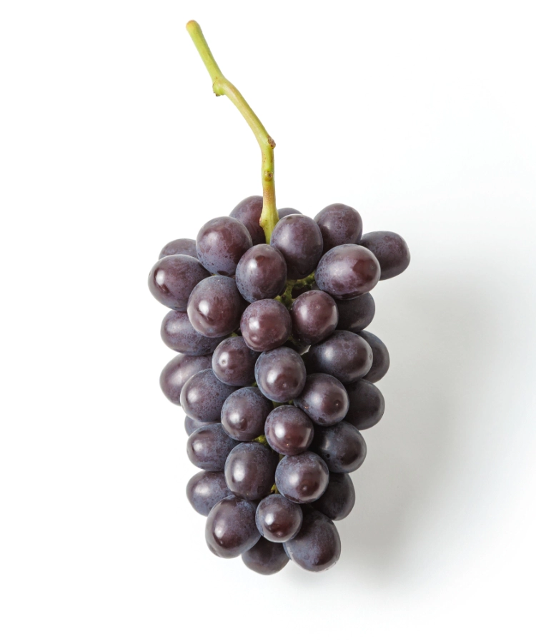 マスカットノワール