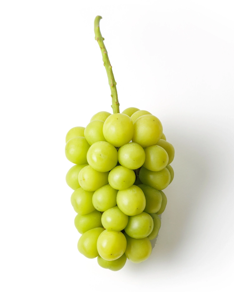 シャインマスカット